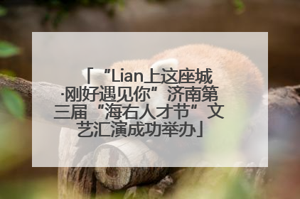 “Lian上这座城·刚好遇见你”济南第三届“海右人才节”文艺汇演成功举办