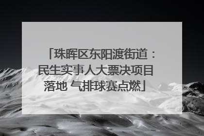 珠晖区东阳渡街道：民生实事人大票决项目落地 气排球赛点燃