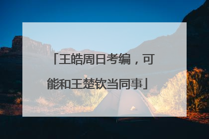 王皓周日考编，可能和王楚钦当同事