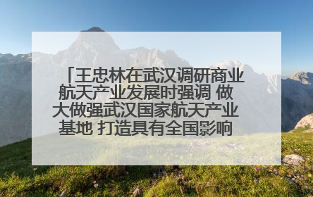 王忠林在武汉调研商业航天产业发展时强调 做大做强武汉国家航天产业基地 打造具有全国影响力的“中国星谷”