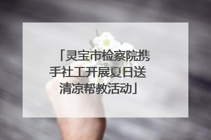 灵宝市检察院携手社工开展夏日送清凉帮教活动