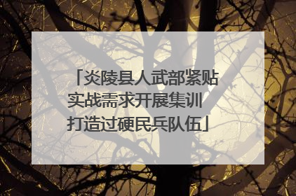 炎陵县人武部紧贴实战需求开展集训 打造过硬民兵队伍