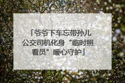 爷爷下车忘带孙儿 公交司机化身“临时照看员”暖心守护