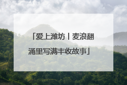 爱上潍坊丨麦浪翻涌里写满丰收故事