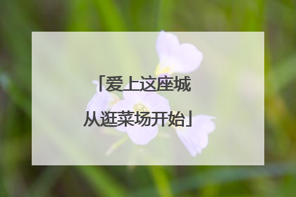 爱上这座城 从逛菜场开始