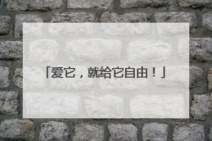 爱它，就给它自由！