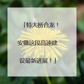 特大桥合龙！安徽这段高速建设最新进展！