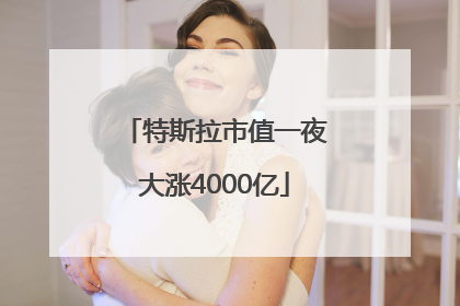 特斯拉市值一夜大涨4000亿