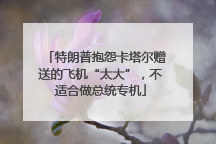 特朗普抱怨卡塔尔赠送的飞机“太大”，不适合做总统专机