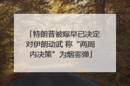 特朗普被曝早已决定对伊朗动武 称“两周内决策”为烟雾弹