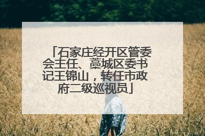 石家庄经开区管委会主任、藁城区委书记王锦山，转任市政府二级巡视员
