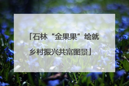 石林“金果果”绘就乡村振兴共富图景