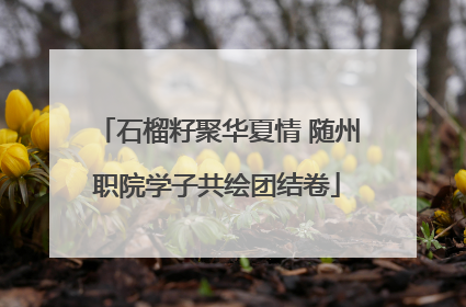 石榴籽聚华夏情 随州职院学子共绘团结卷