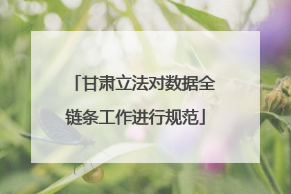 甘肃立法对数据全链条工作进行规范