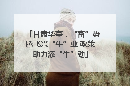 甘肃华亭：“畜”势腾飞兴“牛”业 政策助力添“牛”劲