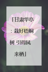 甘肃华亭：栽好梧桐树 引得凤来栖