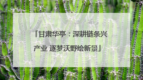 甘肃华亭：深耕链条兴产业 逐梦沃野绘新景