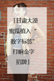 甘肃大漠蜜瓜植入“数字标签” 打响金字招牌