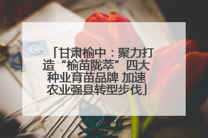 甘肃榆中：聚力打造“榆苗陇萃”四大种业育苗品牌 加速农业强县转型步伐