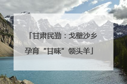 甘肃民勤：戈壁沙乡孕育“甘味”领头羊