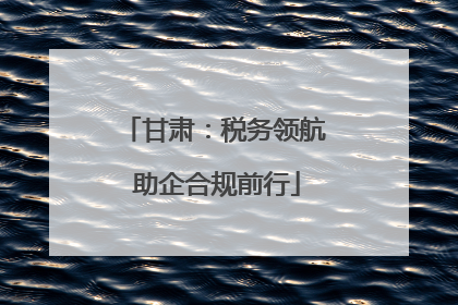 甘肃：税务领航 助企合规前行