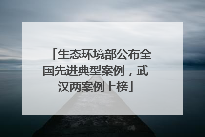 生态环境部公布全国先进典型案例，武汉两案例上榜