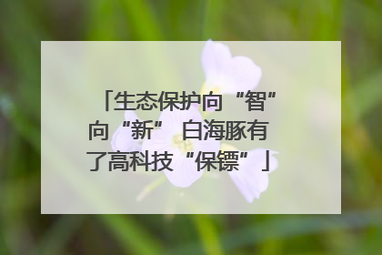 生态保护向“智”向“新” 白海豚有了高科技“保镖”