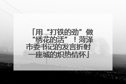 用“打铁的劲”做“绣花的活”！菏泽市委书记的发言折射一座城的炽热情怀