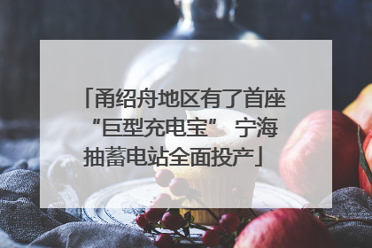 甬绍舟地区有了首座“巨型充电宝” 宁海抽蓄电站全面投产