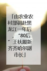 由农业农村部调赴黑龙江一年后，“80后”王杕履新齐齐哈尔副市长