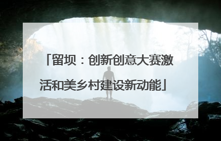 留坝：创新创意大赛激活和美乡村建设新动能