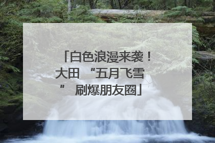 白色浪漫来袭！大田 “五月飞雪” 刷爆朋友圈
