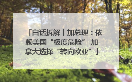 白话拆解丨加总理：依赖美国“极度危险” 加拿大选择“转向欧亚”