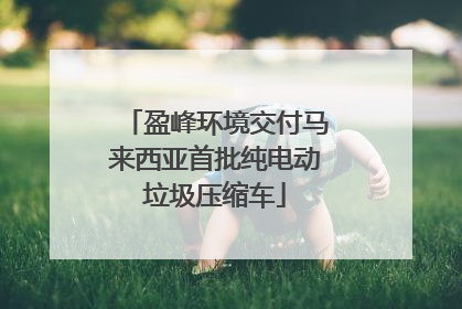 盈峰环境交付马来西亚首批纯电动垃圾压缩车