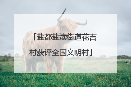 盐都盐渎街道花吉村获评全国文明村