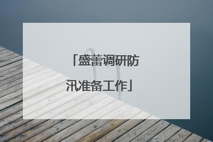 盛蕾调研防汛准备工作