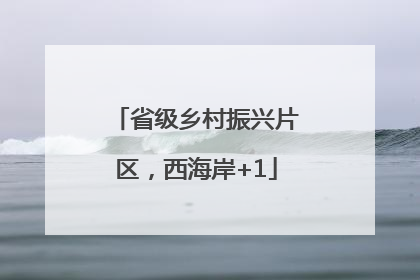 省级乡村振兴片区，西海岸+1