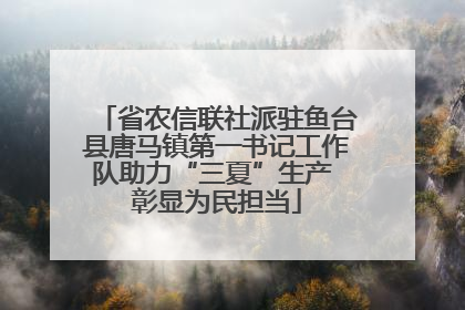 省农信联社派驻鱼台县唐马镇第一书记工作队助力“三夏”生产 彰显为民担当