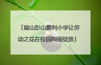 眉山彭山鹏利小学让劳动之花在校园绚丽绽放