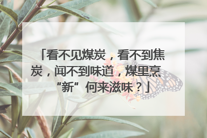 看不见煤炭，看不到焦炭，闻不到味道，煤里烹“新”何来滋味？