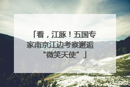 看，江豚！五国专家南京江边考察邂逅“微笑天使”