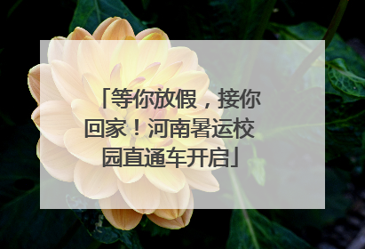 等你放假，接你回家！河南暑运校园直通车开启