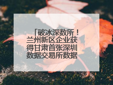破冰深数所！兰州新区企业获得甘肃首张深圳数据交易所数据产权登记证书