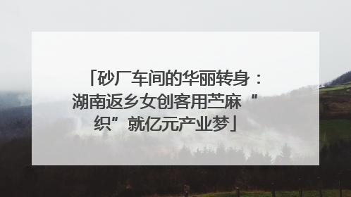 砂厂车间的华丽转身：湖南返乡女创客用苎麻“织”就亿元产业梦