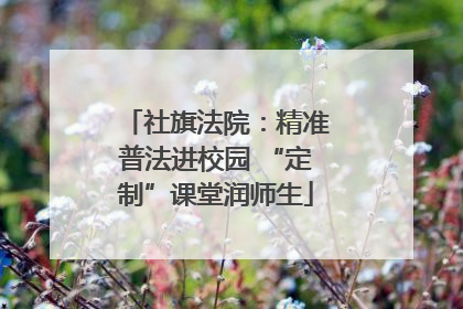 社旗法院：精准普法进校园 “定制”课堂润师生