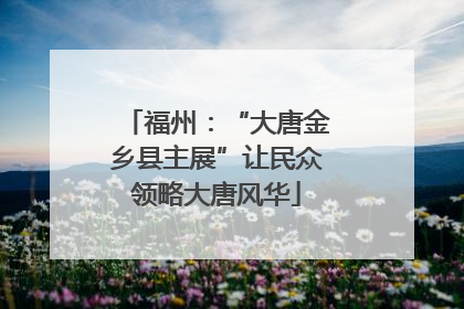 福州：“大唐金乡县主展”让民众领略大唐风华