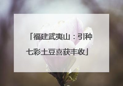福建武夷山：引种七彩土豆喜获丰收