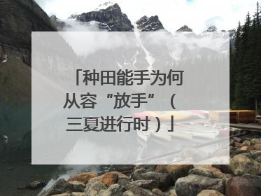 种田能手为何从容“放手”（三夏进行时）
