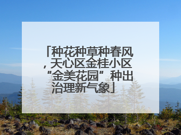 种花种草种春风，天心区金桂小区“金美花园”种出治理新气象