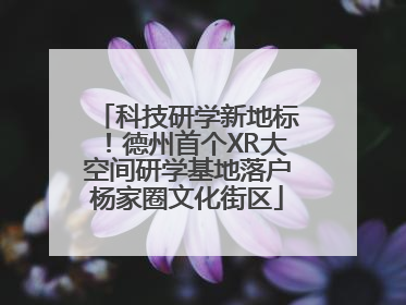 科技研学新地标！德州首个XR大空间研学基地落户杨家圈文化街区